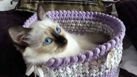 IMG-b5cdff2a88381576cf324cf9c3656398-V