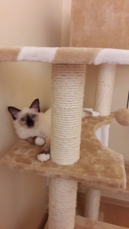 IMG-b36f7ff40a560a73483fd0c0e0a201cf-V