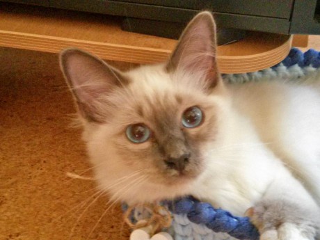 IMG-82212a644bbdc44e1d288404a626ef27-V