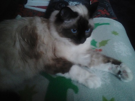 Lenovo_A1000_IMG_20180505_193245