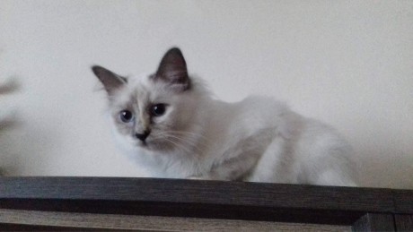 received_241490566523037