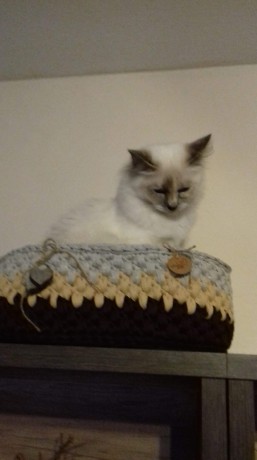 received_252105318985007