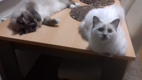 received_276164686351356