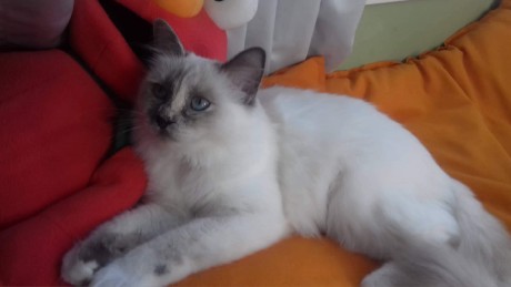 received_328861661032626