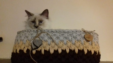 received_335819826977263