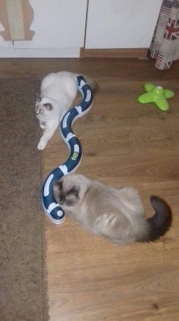 received_588161298281580