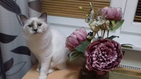 received_690818991302794