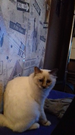 received_727431110959016