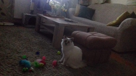 received_1178328462331540