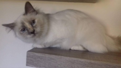 received_1271168489691682