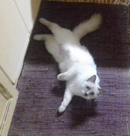 received_1925391404423547