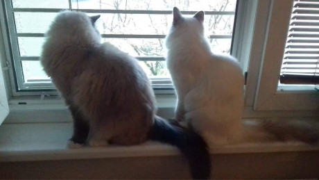 received_202002314047075