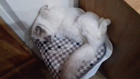 received_309746412957402