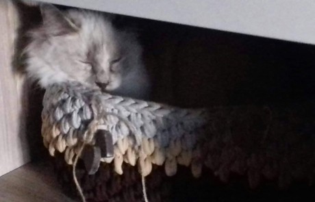 received_485477251948824