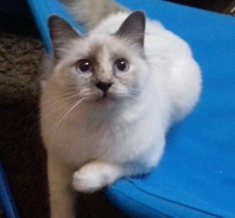 received_509430922902983