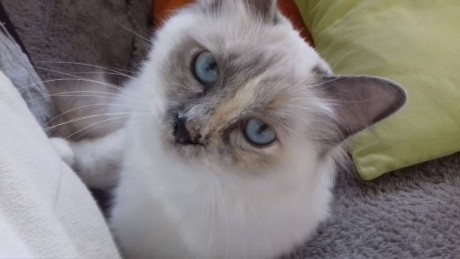 received_287104555480500