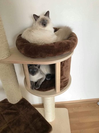 received_459217114602152