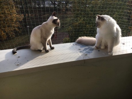 received_503862500093561