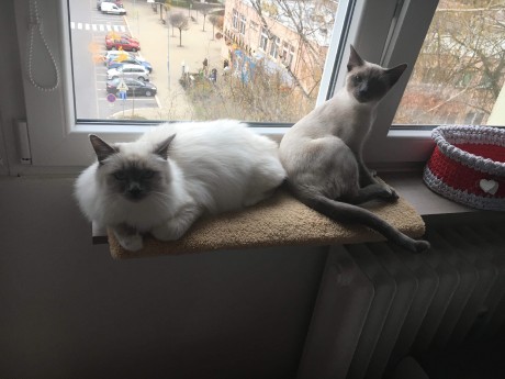 received_1919483838146255