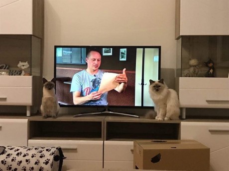 received_507372349771111