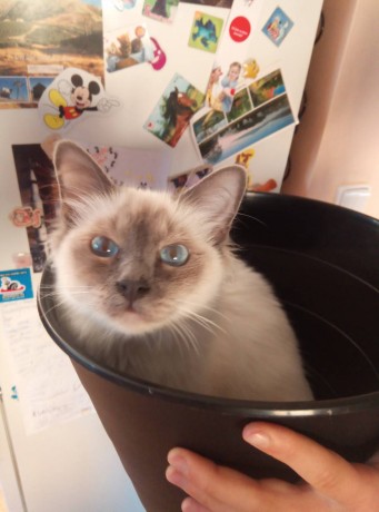 IMG-13fdf84be22834a0829bc691fc594da4-V