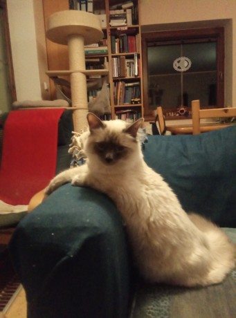 IMG-b3c9b54f351eca664c5aadc6e8af83d8-V