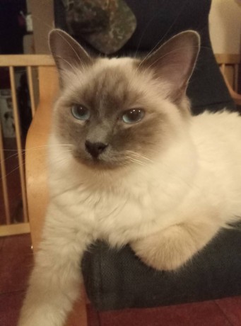 IMG-eb7baddec9c6d28f07f64d25230560ea-V