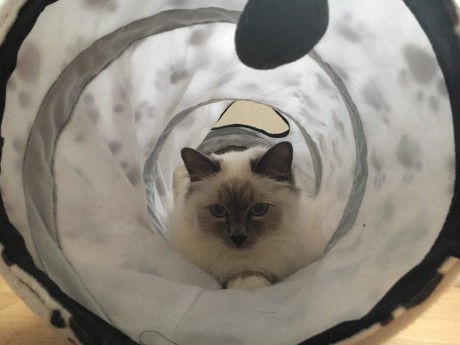 received_283092222382826