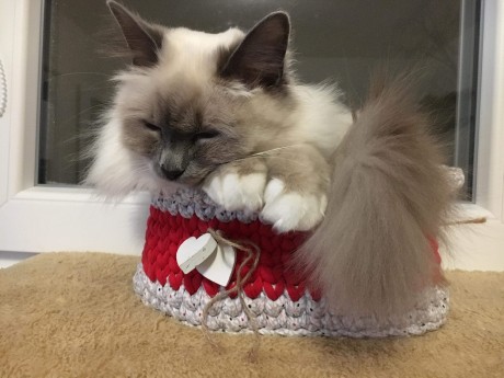 received_610440246074249