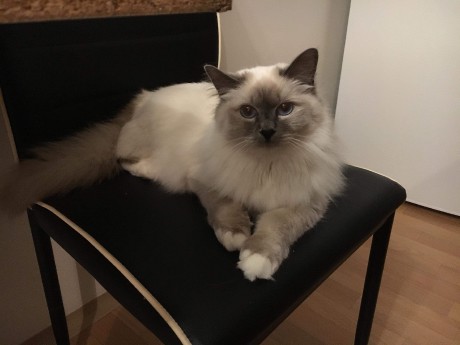 received_2055044671464895