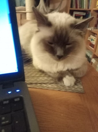 IMG-c6dc2622406b8754f1a5587be2178f44-V