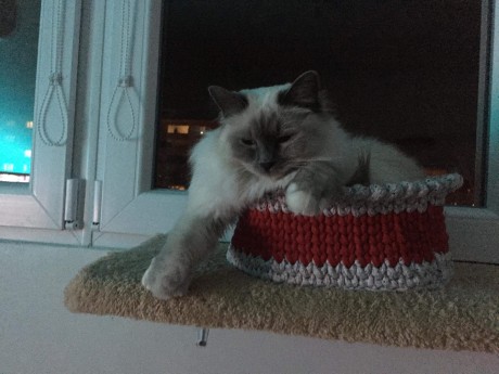 received_276853146591979