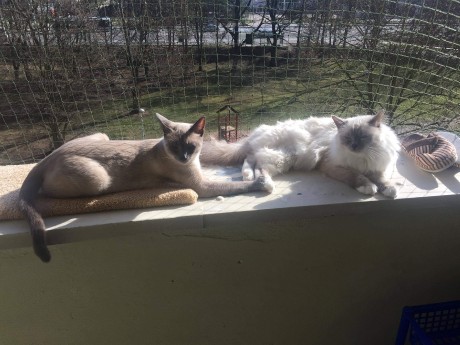 received_978465659208854