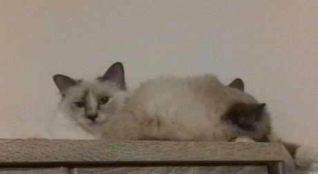 received_299827684001859