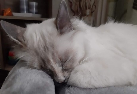 received_407486703134274