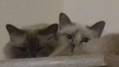 received_1007362372775044