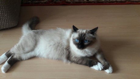 IMG-8912b369ac3ac63a71a6c5b2b6952bbb-V