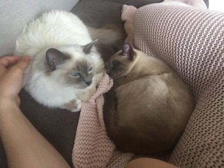 received_2199584780353576