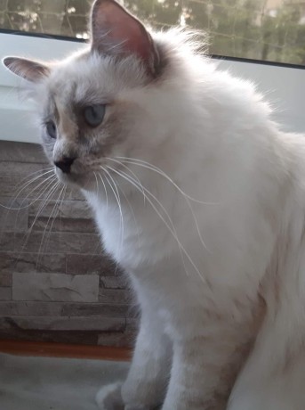 received_670961643334069