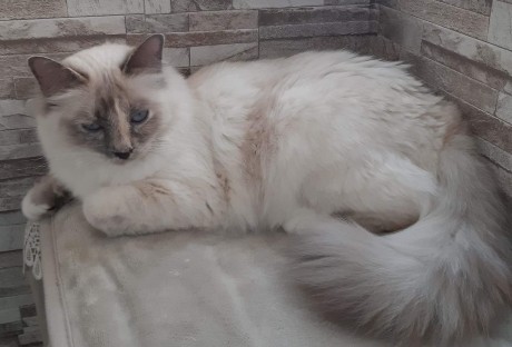 received_799493407118151