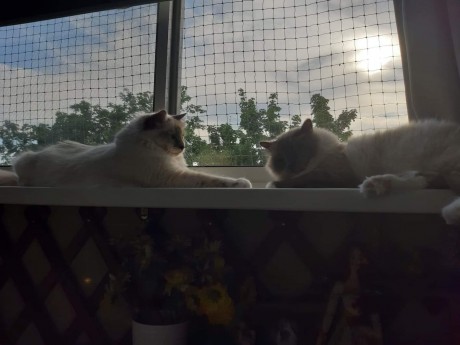 received_850343101991708