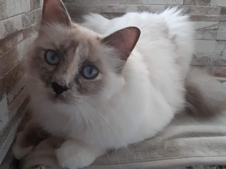 received_2270320653084700