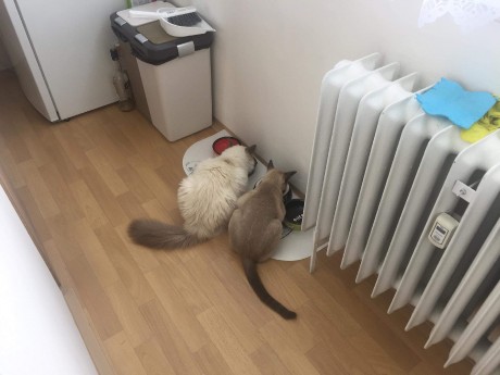 received_1865834576851447