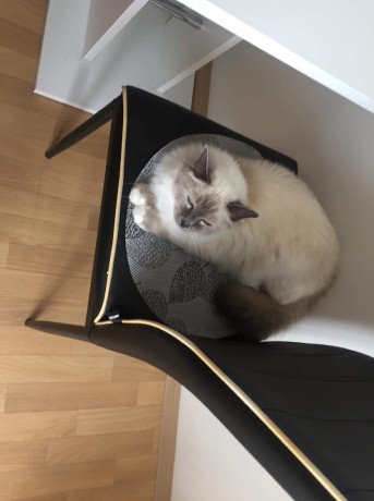 received_350032702333778