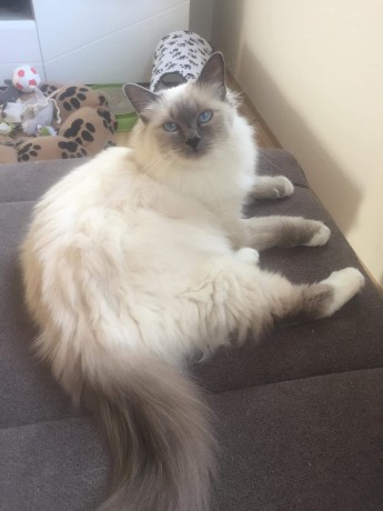 received_2120207974950721