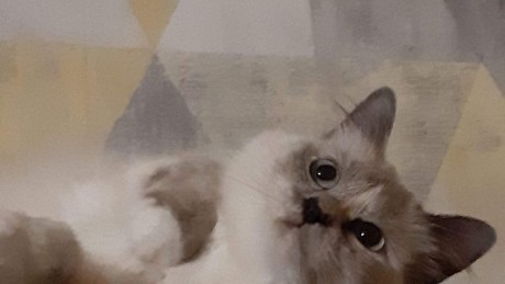 received_354462452160699