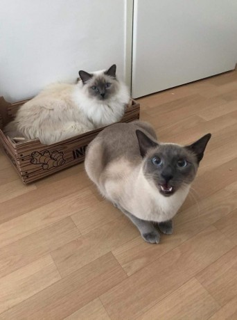 received_870528496729466