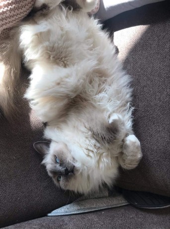 received_2821122401447517