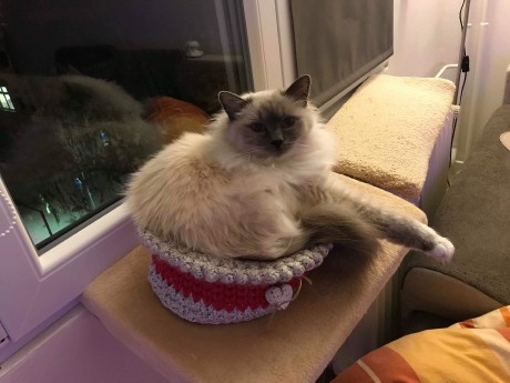 received_1165017803689821