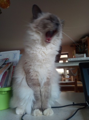 IMG-3cb654849f7658d2dcd26c37608a7ef3-V